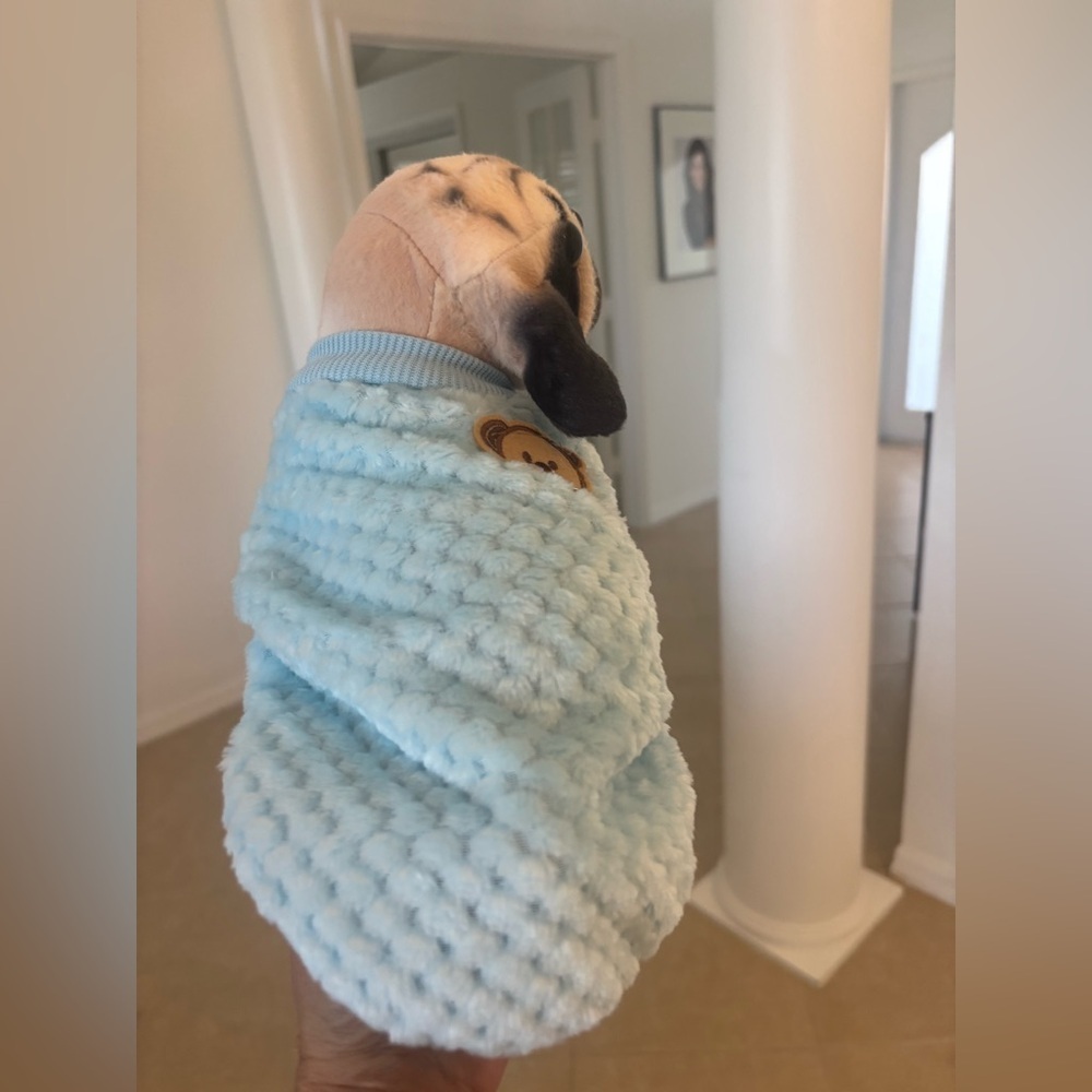 Blue Plush Dog Toy - Picture 7 of 7